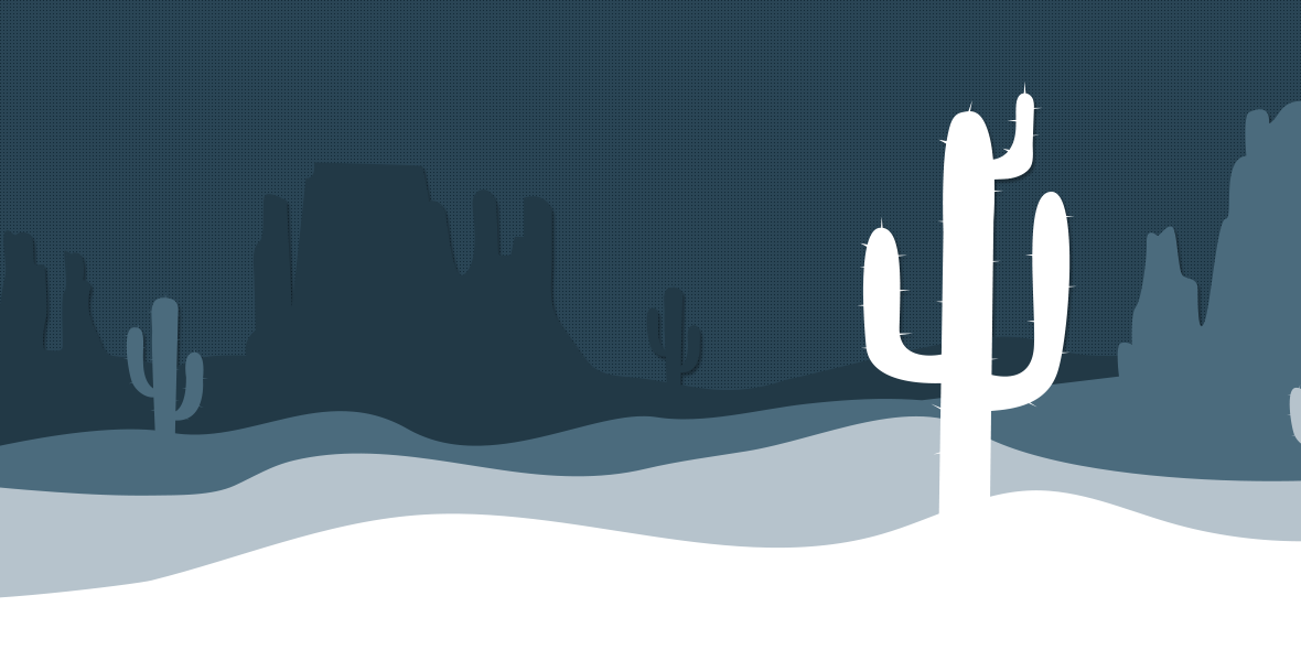 DMi's Discount Desert
